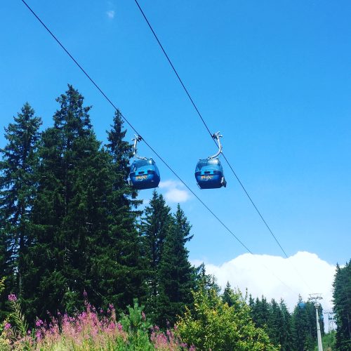 Gondola in Bansko and wildflowers
